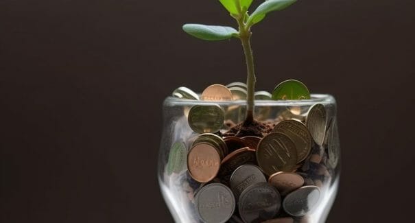 En plante, der spirer op af et glas fyldt med mønter, symboliserer en virksomheds vækst og udvikling takket være den indsamlede kapital ved opstart.