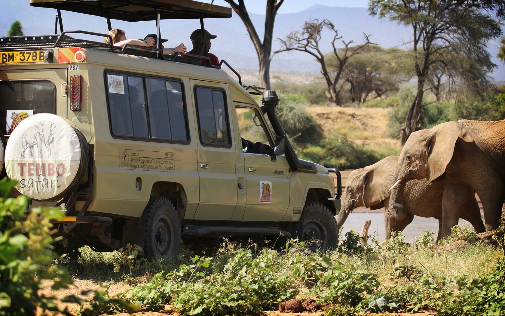 Tembo Safari: En Succeshistorie Om Skræddersyede Rejser Og Unikke Oplevelser